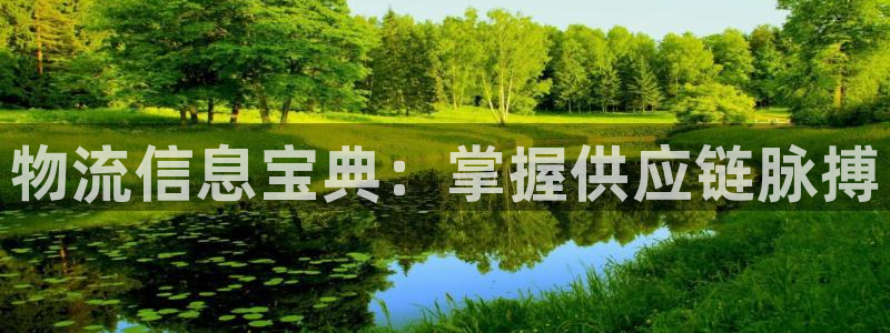 28圈官方网站是多少：物流信息宝典：掌握供应链脉搏
