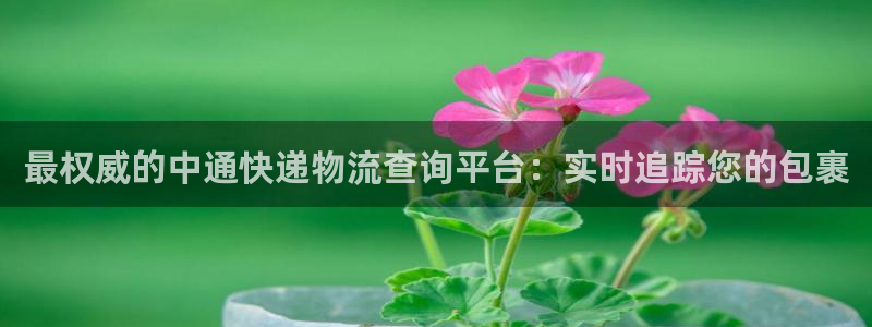 28圈模拟器在线使用：最权威的中通快