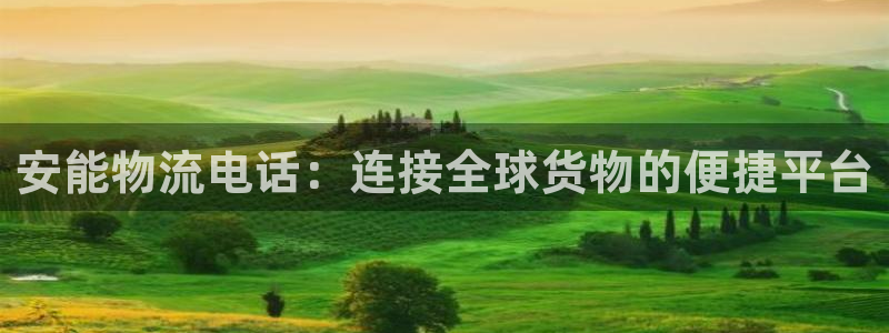 28圈加拿大能提现吗：安能物流电话：