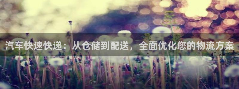 28圈充值为什么充不了：汽车快速快递