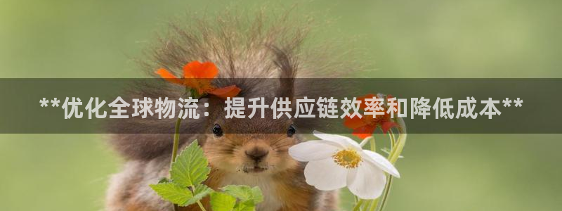 28圈反水怎么算：**优化全球物流：