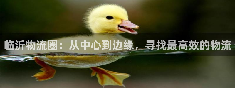28圈玩法：临沂物流圈：从中心到边缘