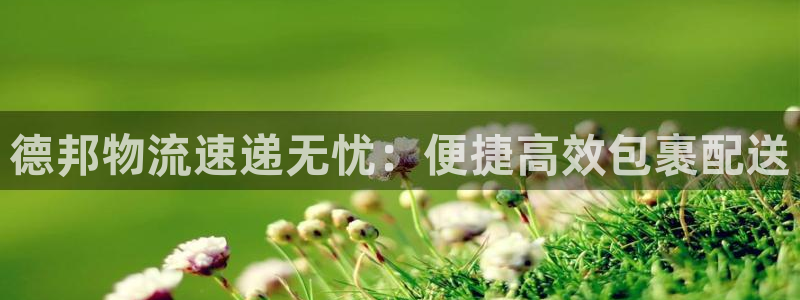 28圈能赢钱吗：德邦物流速递无忧：便