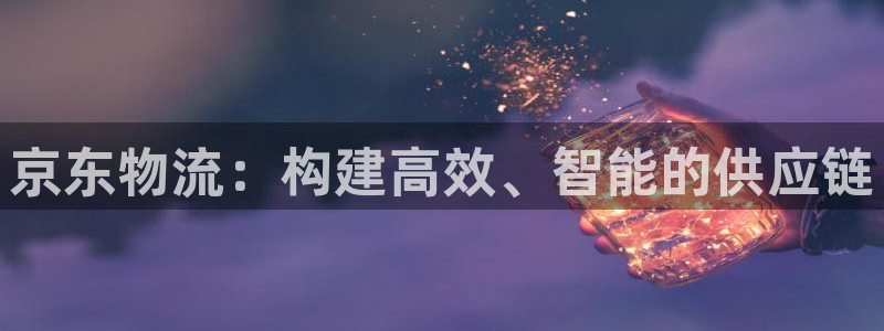 28圈旗下：京东物流：构建高效、智能