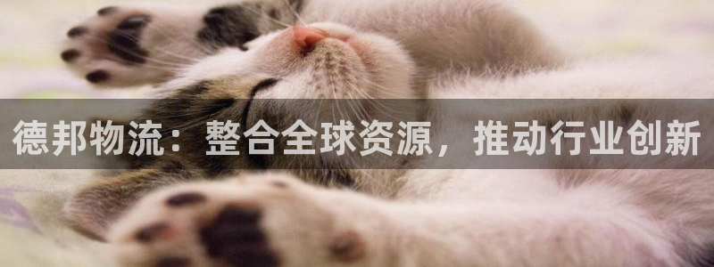 28圈官网开奖结果预测：德邦物流：整