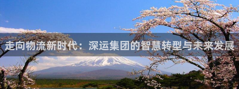 28圈比特28预测在线预测：走向物流