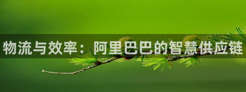 28圈系统自动保护：物流与效率：阿里