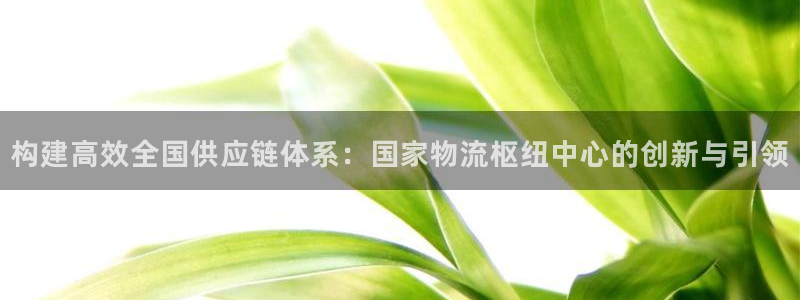 28圈在线预测：构建高效全国供应链体