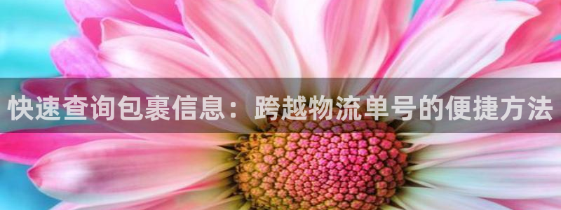 28圈自行车图片大全：快速查询包裹信