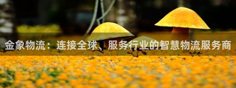 28圈注册送：金象物流：连接全球、服