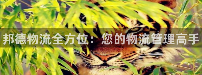 28圈提款一直没到：邦德物流全方位：