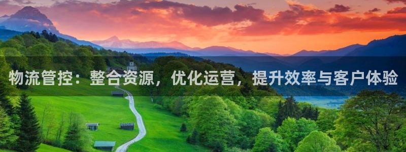 28圈官网版2024：物流管控：整合