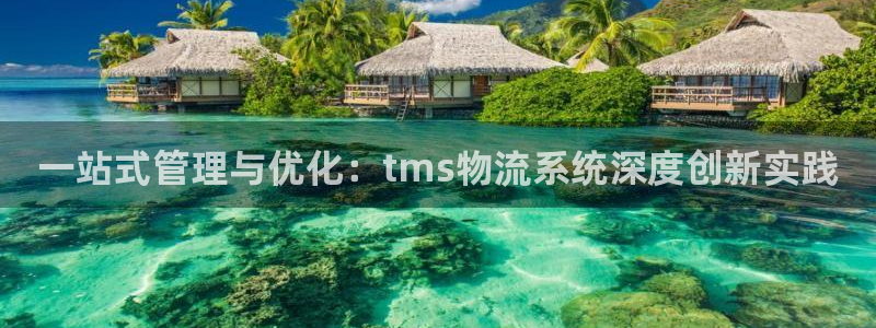 28圈是南宫旗下的吗：一站式管理与优