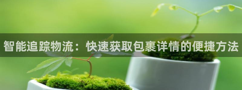 28圈注册用户名是什么：智能追踪物流