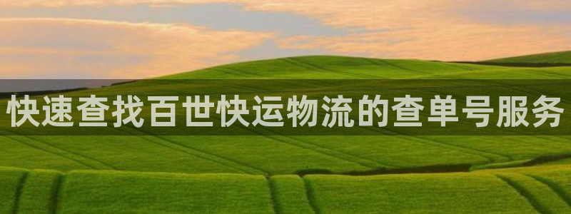 28圈h5链接：快速查找百世快运物流