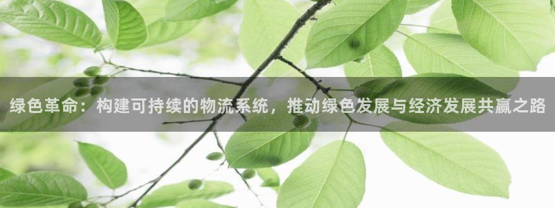 28圈app官网少林足球