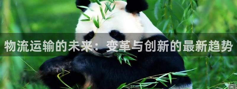 28圈在线预测官网：物流运输的未来：