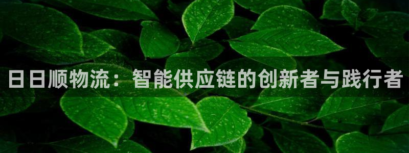 28圈违法吗：日日顺物流：智能供应链