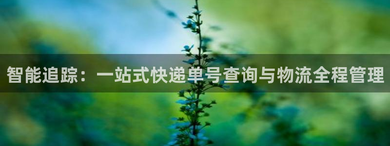 28圈加拿大6.0：智能追踪：一站式