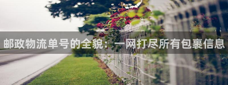 28圈注册二维码：邮政物流单号的全貌