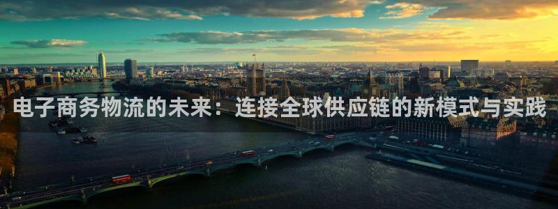 28圈.ccm正版：电子商务物流的未