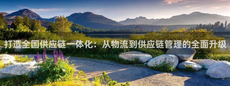 28圈注册网站链接是什么：打造全国供应链一体化：从物流到供应