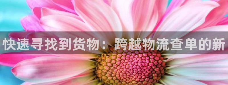 28圈如何看012路计划：快速寻找到