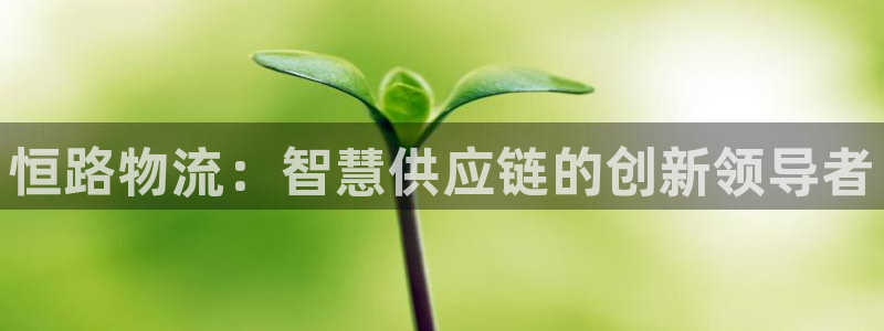 28圈游戏官网入口：恒路物流：智慧供应链的创新领导者