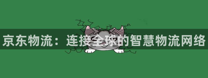 28圈预测加拿大：京东物流：连接全球