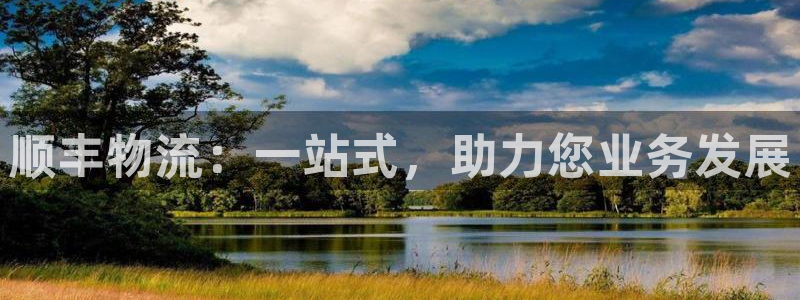 28圈怎么注册：顺丰物流：一站式，助力您业务发展
