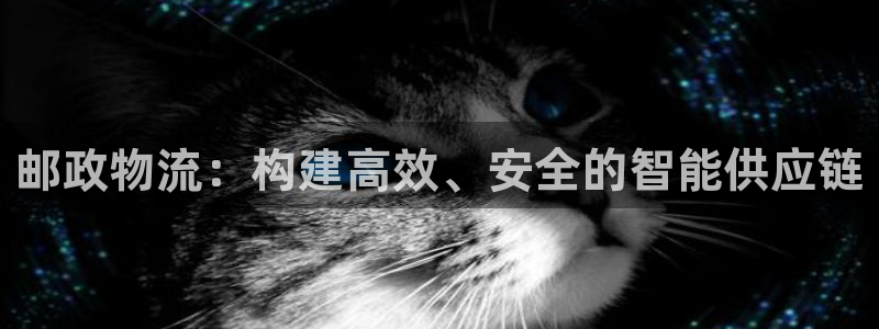 28圈预测网：邮政物流：构建高效、安