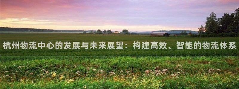 28圈加拿大是什么：杭州物流中心的发