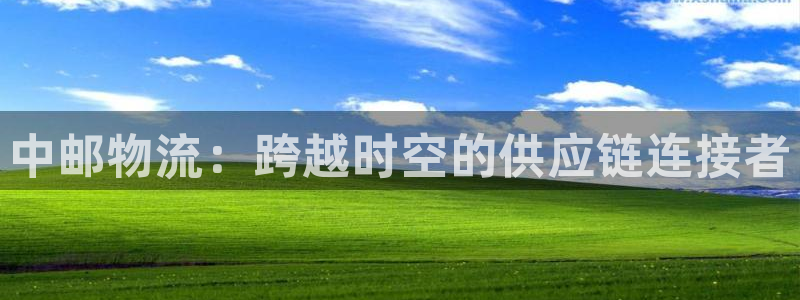 28圈电子