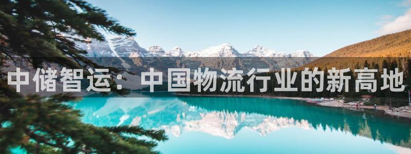 28圈吧：中储智运：中国物流行业的新