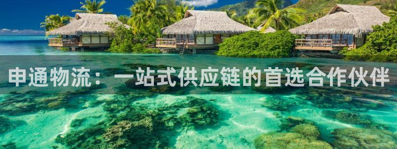 28圈充值金额随便：申通物流：一站式