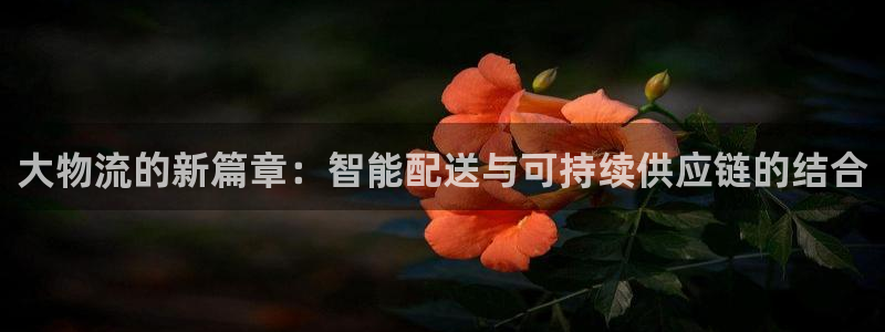 28圈.ccm官网：大物流的新篇章：