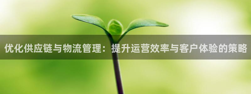28圈注册二维码：优化供应链与物流管