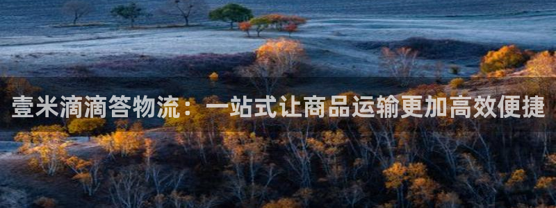 28圈官方网站：壹米滴滴答物流：一站