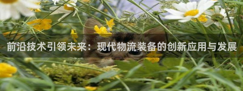 28圈麻将胡了爆分视频：前沿技术引领