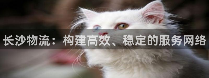 28圈初始资金密码是什么