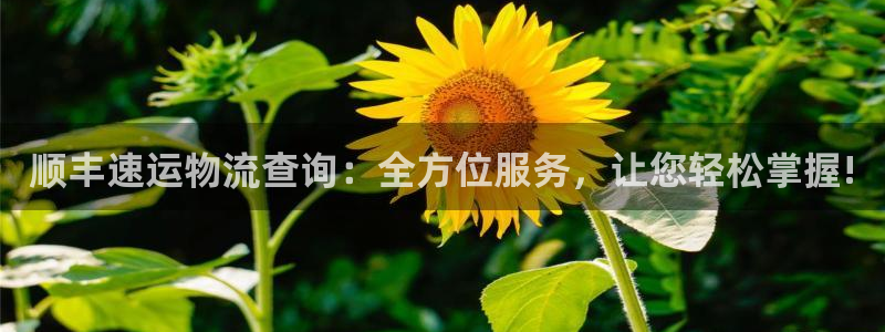 28圈注册二维码：顺丰速运物流查询：