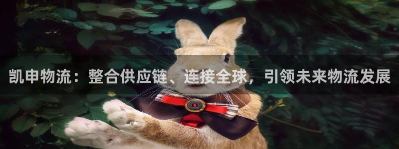 28圈提现不到账