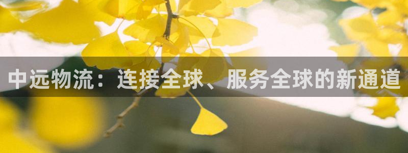 28圈客服电话：中远物流：连接全球、