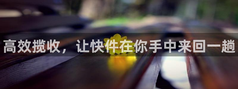 28圈加拿大pc预测：高效揽收，让快
