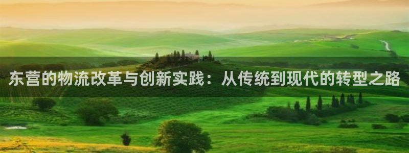28圈体育下载：东营的物流改革与创新