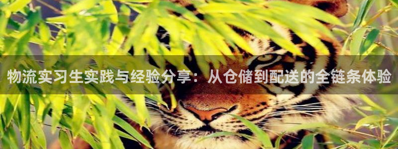 28圈app能退款吗