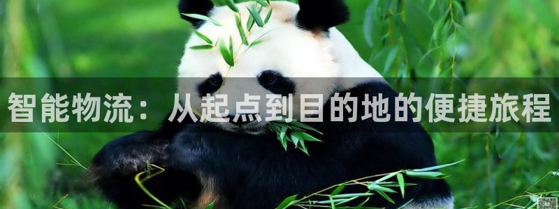 28圈是什么软件