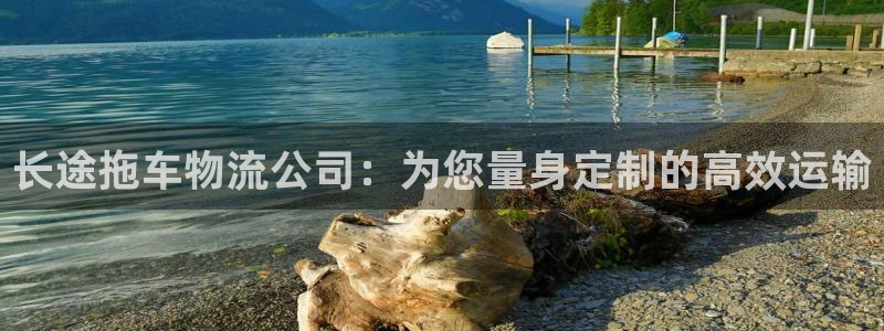 28圈犯法吗：长途拖车物流公司：为您