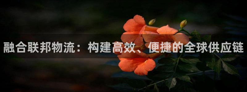 28圈不给提现