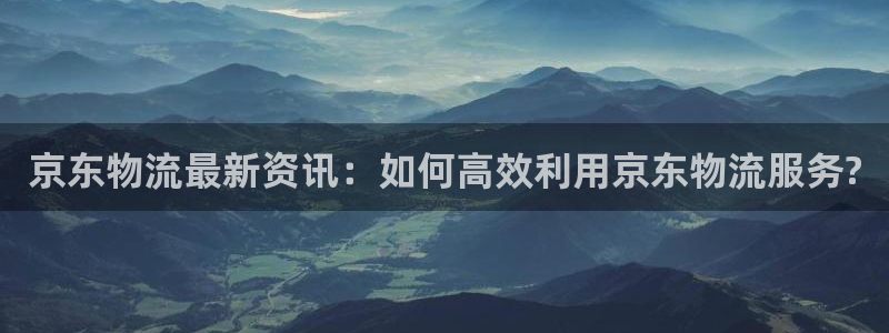 28圈网站平台是多少：京东物流最新资